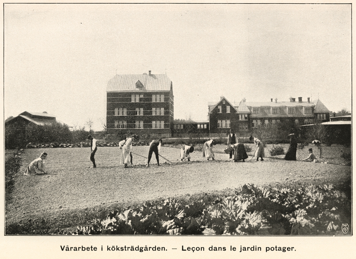 Illustration ur Notice sur l'école de sourds-muets de Venersborg av Fredrik Nordin, 1907