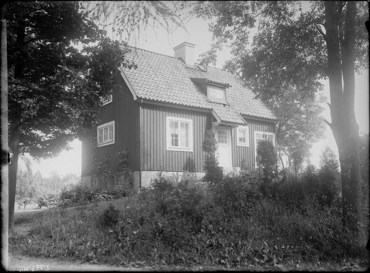 Fotografering beställd av trädgårdsmästare Gustaf Adolf Runfeldt.