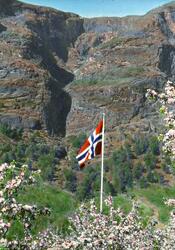 F6. Norske flagg