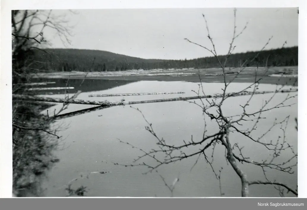 Innkommet tømmer lagt på isen, Sandsjøen, Kalvika 1939