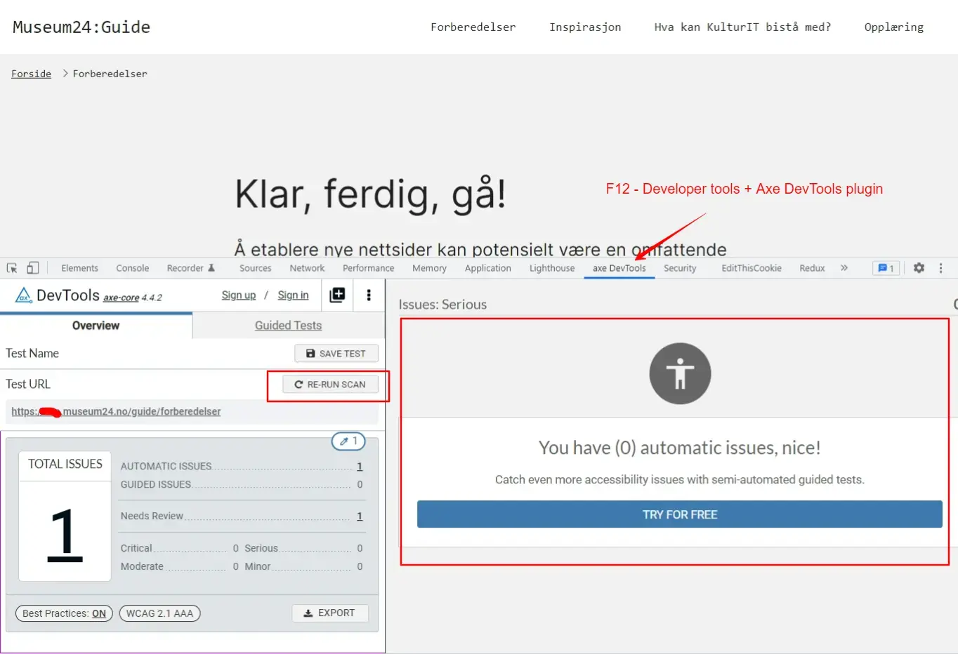 Bildet viser et skjermbilde fra AXE devtools