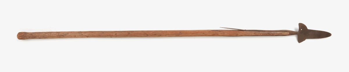 Hillebard, spjut med treflikig spets, skaft av trä.