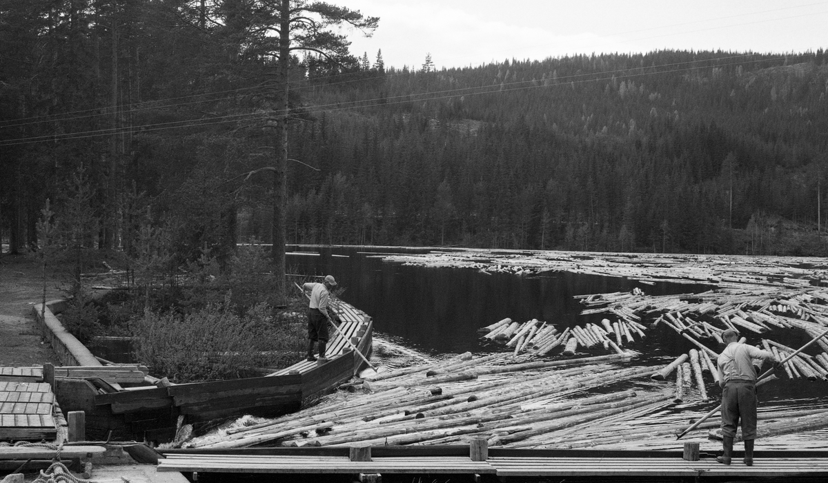 Tømmerfløting i Malungsvassdraget i Romedal allmenning på Hedmarken i 1960. Her renner vannet sørover, mot Odalen, men passerer på vegen flere små vatn. Ved utløpene av dem var det dammer, som gjorde det mulig å regulere vannføringa i nedenforliggende elveløp. Vi vet foreløpig ikke hvilket vann eller hvilken dam dette fotografiet er fra, men vi ser fløtere i arbeid med å bevege tømmerstokker som kommer sigende på vannspeilet i retning damåpningen. Karene arbeidet med langskaftete fløterhakker fra hver sin plattform i den traktformete sona inn mot utløpet fra dammen. Dette var en såkalt lukedam - det var hev- og senkbare treluker på motstrøms side av dammen som ble brukt til å bygge opp vannmagasinet og deretter til å gi det nedenforliggende elveløpet såpass stor vannføring at tømmeret fikk noenlunde god flyt videre. Da dette fotografiet ble tatt var fem luker trukket opp på dambrua.