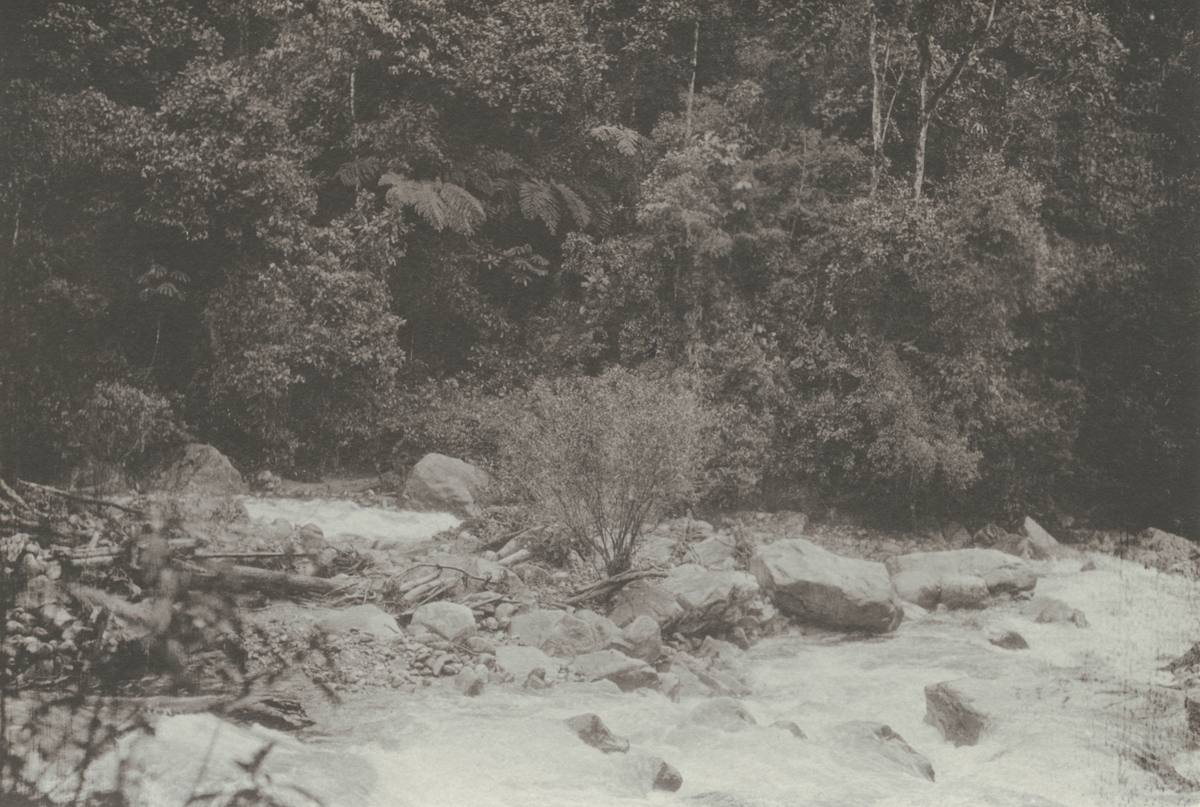 Fotografi från kuvert märkt med "Ernst Nordenskjöld". Motiv av flod och stenar i djungel.