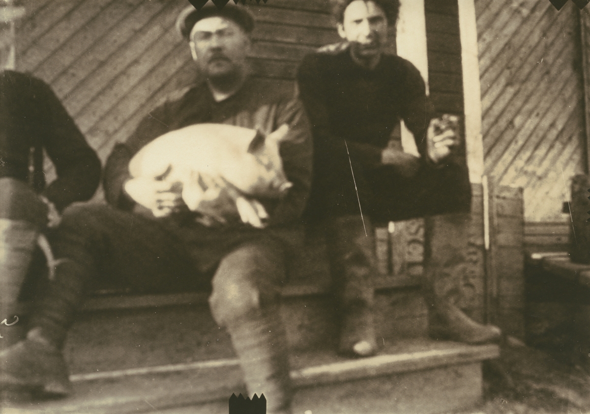 Fotografi från expedition till Spetsbergen 1920. Motiv av tre män som sitter på hustrappa. En av männen håller en gris i famnen.