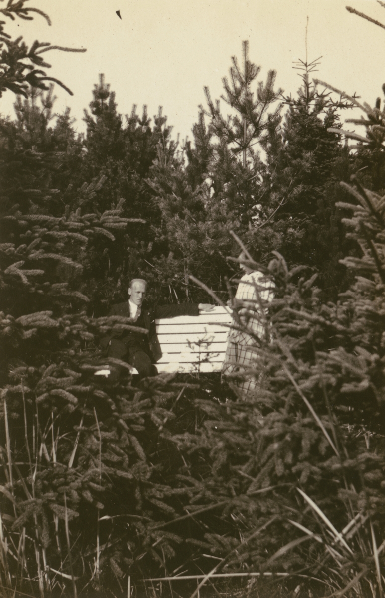 Fotografi från Albin Ahrenbergs resa till Grönland 1929. Motiv av man som sitter på bänk i granskog.