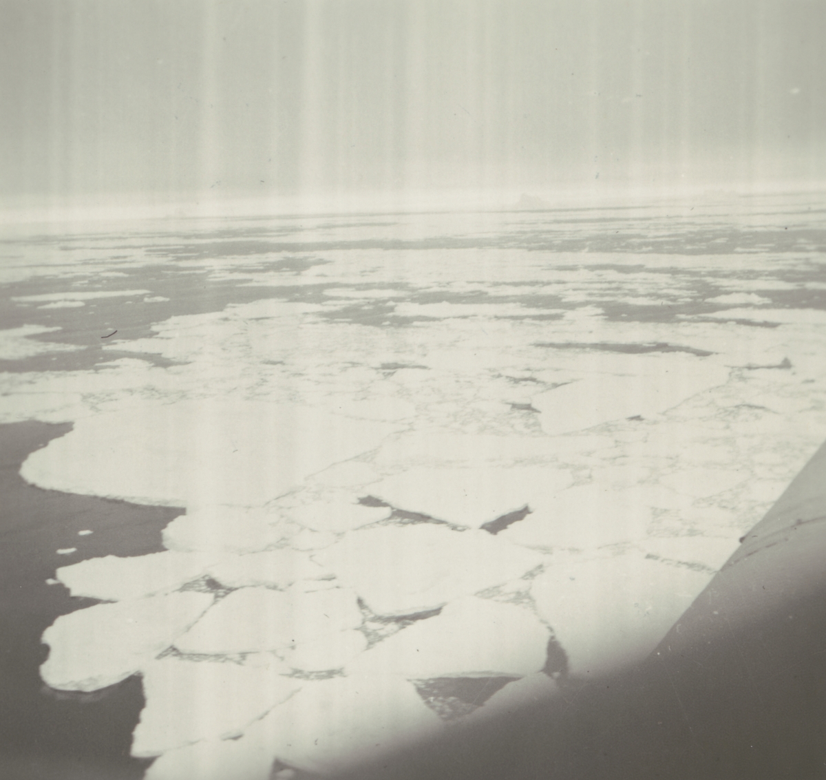 Fotografi från Albin Ahrenbergs resa till Grönland 1929. Vy över istäckt hav.
