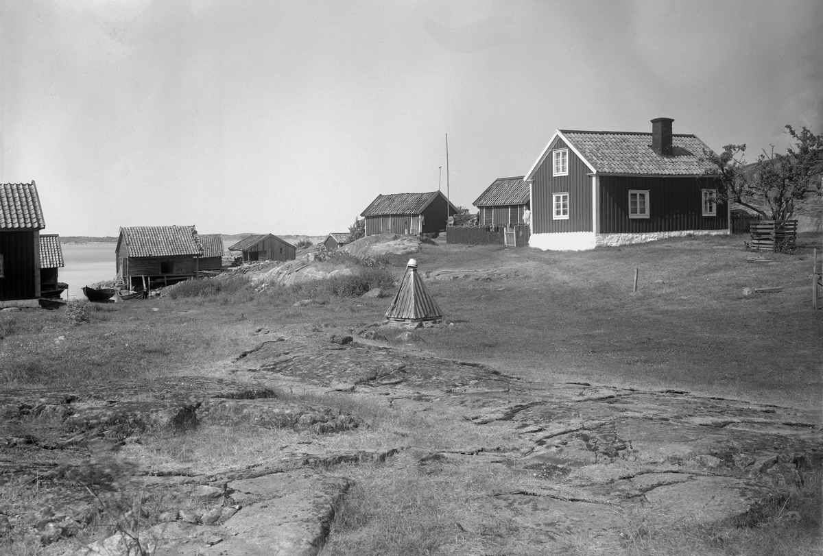 Skärgårdsmiljö, sannolikt från Grindö i Loftahammars skärgård, där fotografen hade sommarställe.