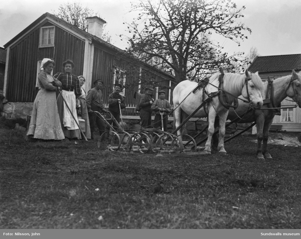 Tre kvinnor och fyra män samt två skimmelfärgade hästar spända framför harven. Bakom syns en gård med ljus mangårdsbyggnad, sidobyggnad och stenmur med staket ovanpå.