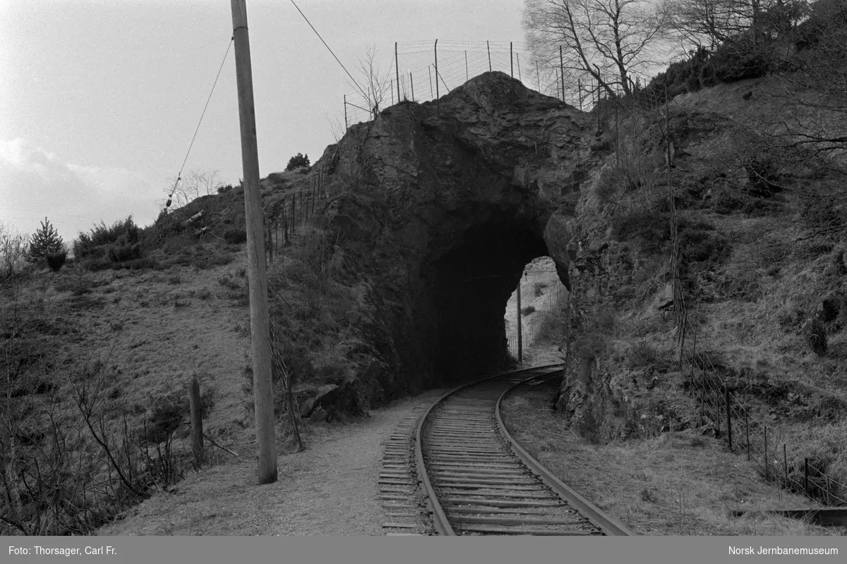 Langs Bergensbanens nedlagte trase mellom Midttun holdeplass og Haukeland stasjon, her ved østre munning Helldal I tunnel km 478,12