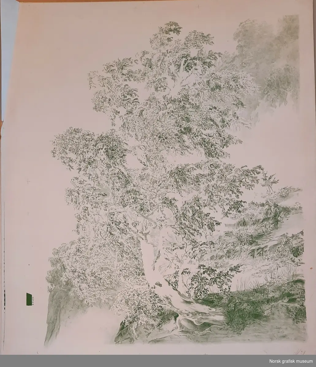 Trykkark merket "No. 4", håndskrevet med blyant. Litografisk reproduksjon av I. C. Dahls maleri "Birk i storm" (eller "Bjerk i storm") fra 1849, utført med femten ulike trykkfarger og med en litografisk stein per farge. Dette trykket er med fargen "II GRÖN".