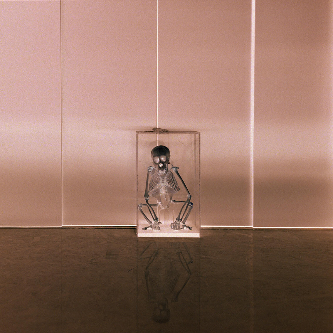 Bilde av en glassmonter med skjelettet av en liten ape. Bildet er negativt, med et rosaskjær. Fotografi.