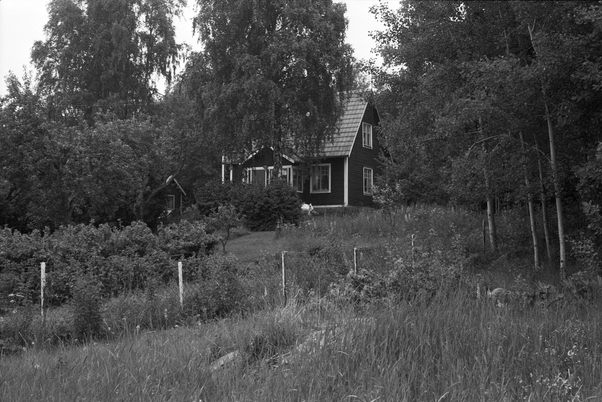 Bostadshus, Knivsta-Vrå 1:165, Björkbacken, Uppland 1981