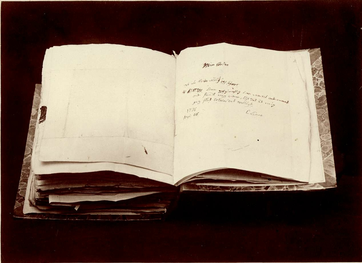 Fotografi av brev skrivet av Carl von Linné.