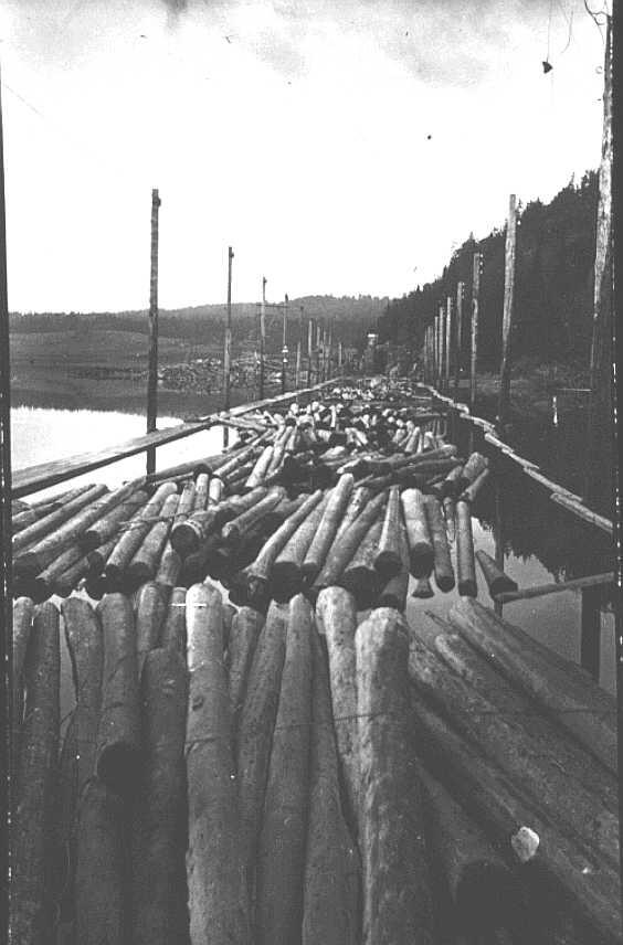 Tømmerlunner foran inntaket til tømmertunnellen i Isnesfjorden, Vestvannet