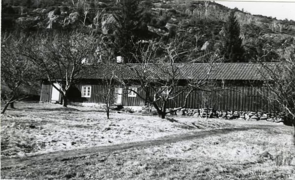 Långsträckt gårdslänga i Anneberg, söder om järnvägsstationen. I förgrunden fruktträd och bakom huset reser sig ett berg.