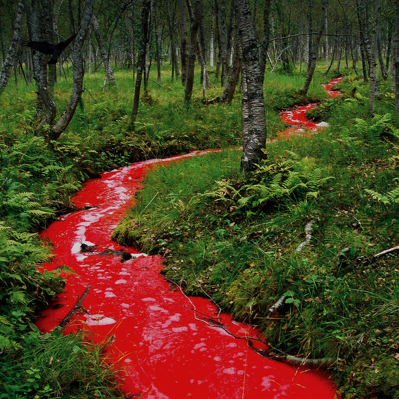 En rød elv renner gjennom et grønt skogslandskap.