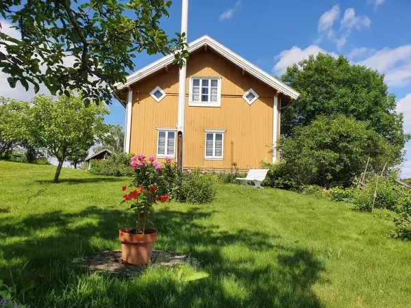 Fotografi tatt av hagen og Austun på sommeren.