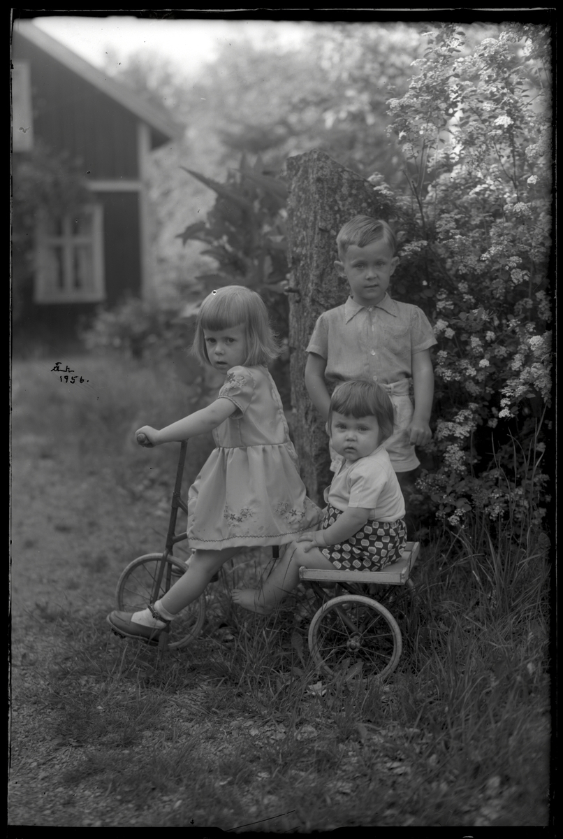 Tre barn med trehjuling