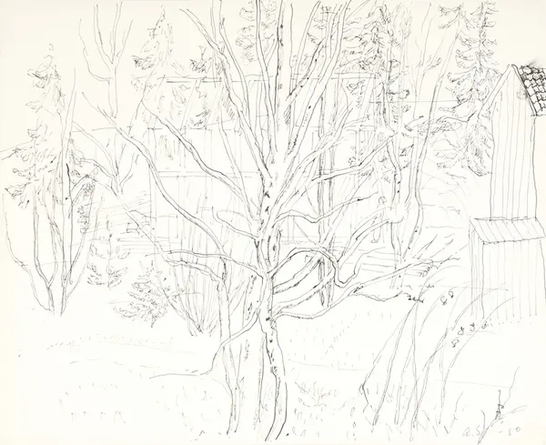 Hus og trær [Tegning]