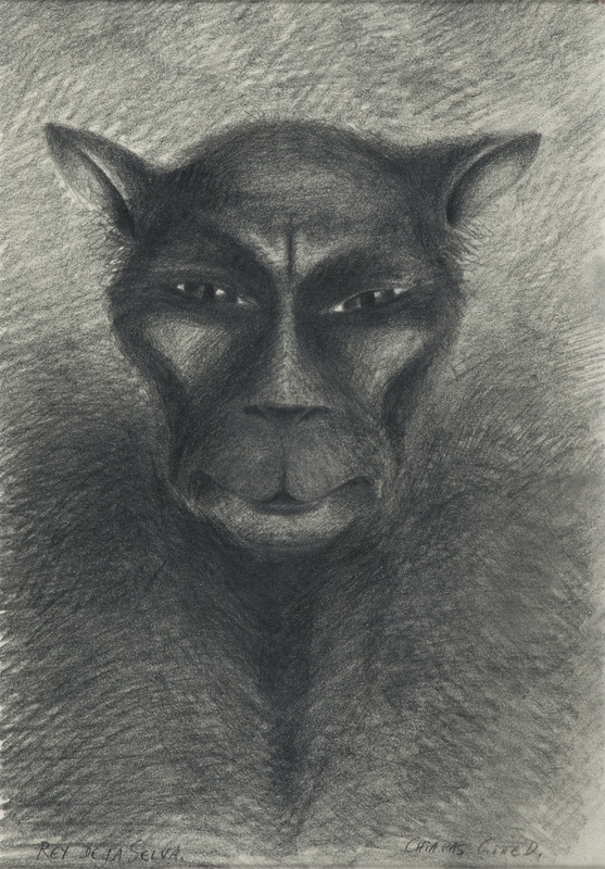 Rey de la selva Chiapas [Tegning]