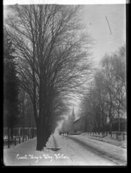 Gate på Karljohansvern, Horten. Trær langs veien som fører t