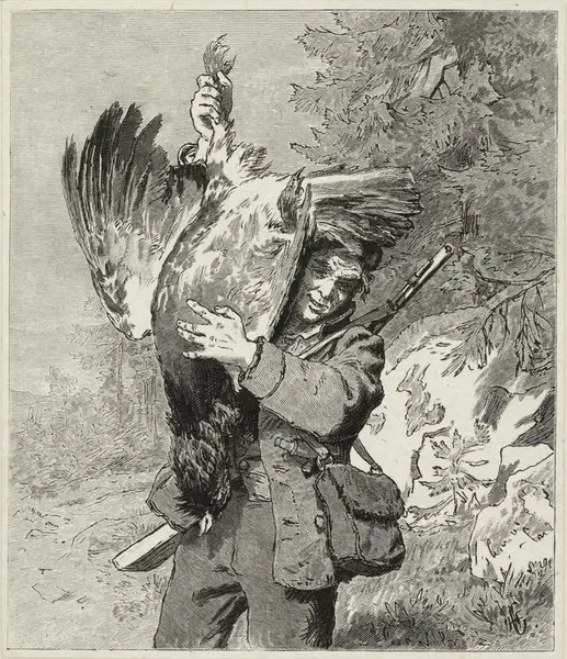 En tiurleik i Holleia [Grafikk]