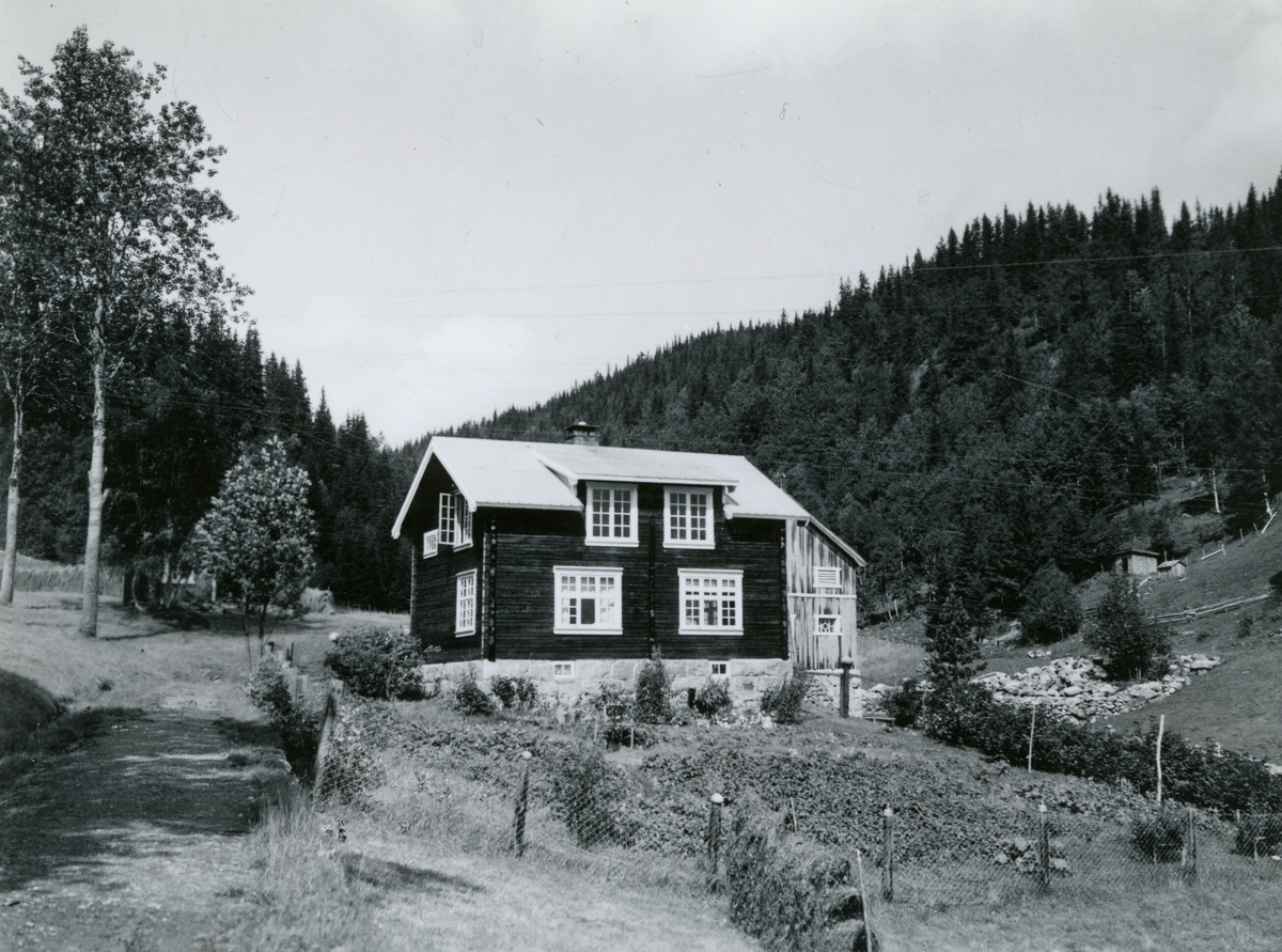 Bureisingsbruket Teigland mellom Vinjesvingen og Åmøt i Vinje.  Bildet er frå eit besøk av Kornrådet 11. august 1939.
