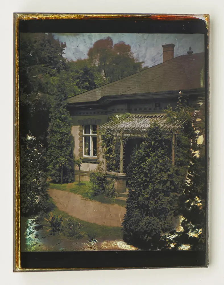 Color image of the front of a house with greenery around