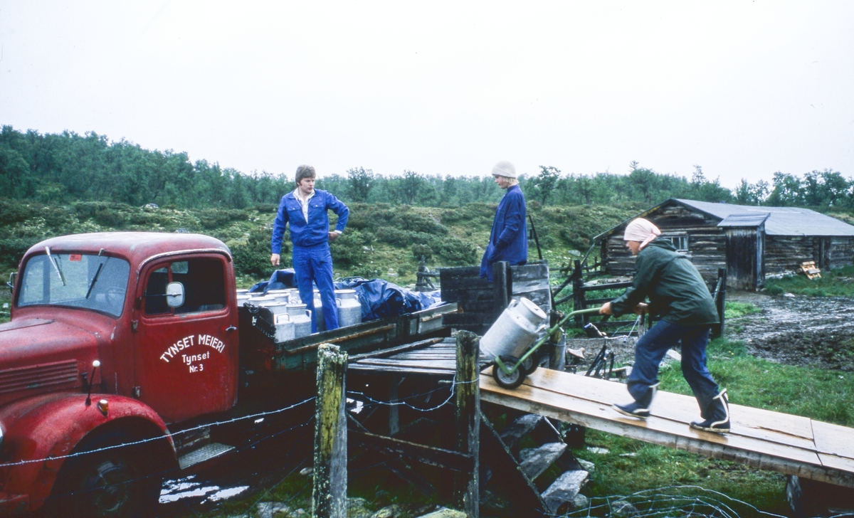 Seterliv, Klettdalen, Tolga. 1979