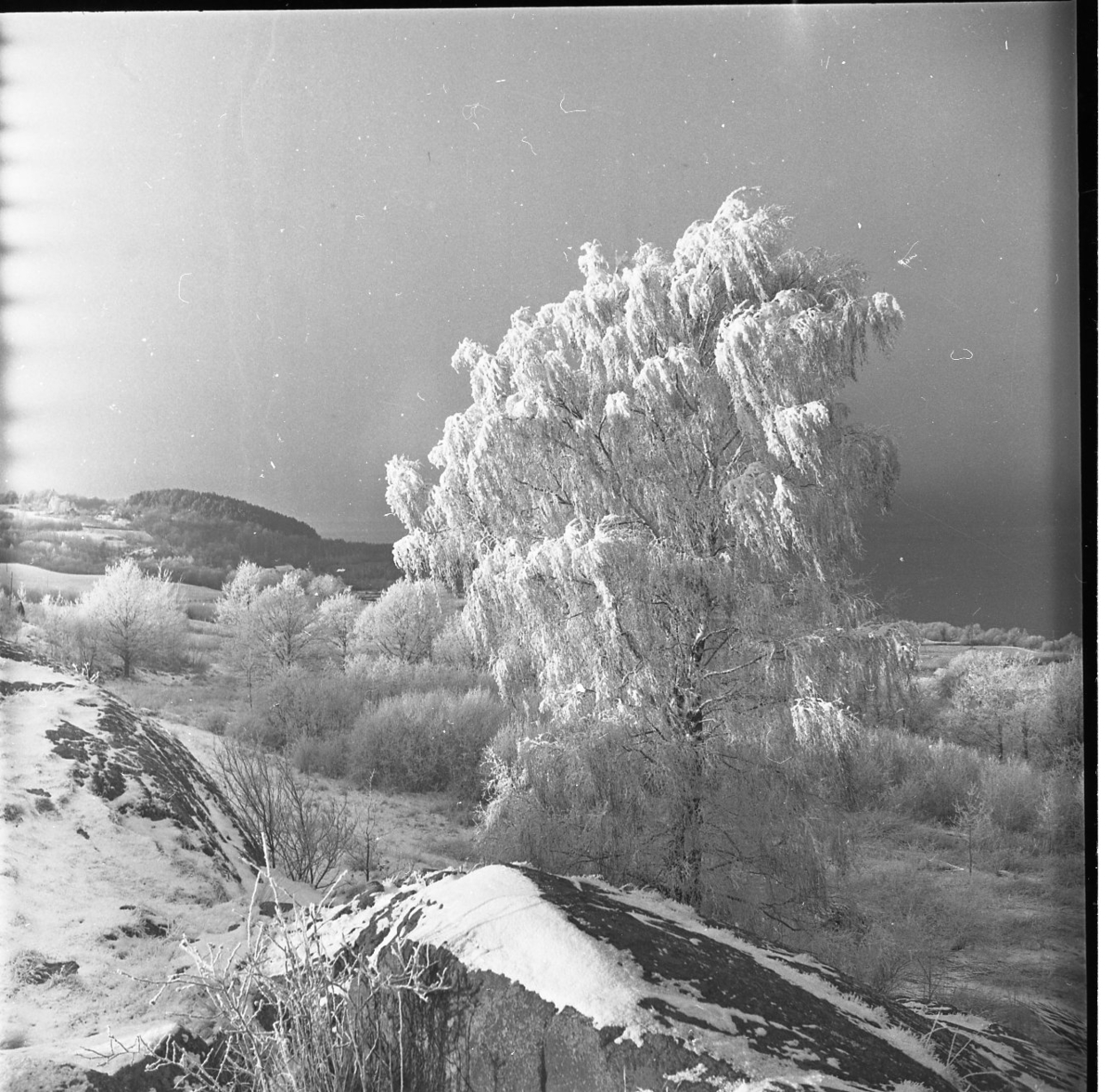 Vinterlandskap. Fotot är troligen taget från Kråkberget, nära statyn Löparna.