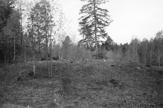 Gravhög frilagd från skog och torv, på Tibbleåsen i Tibble.