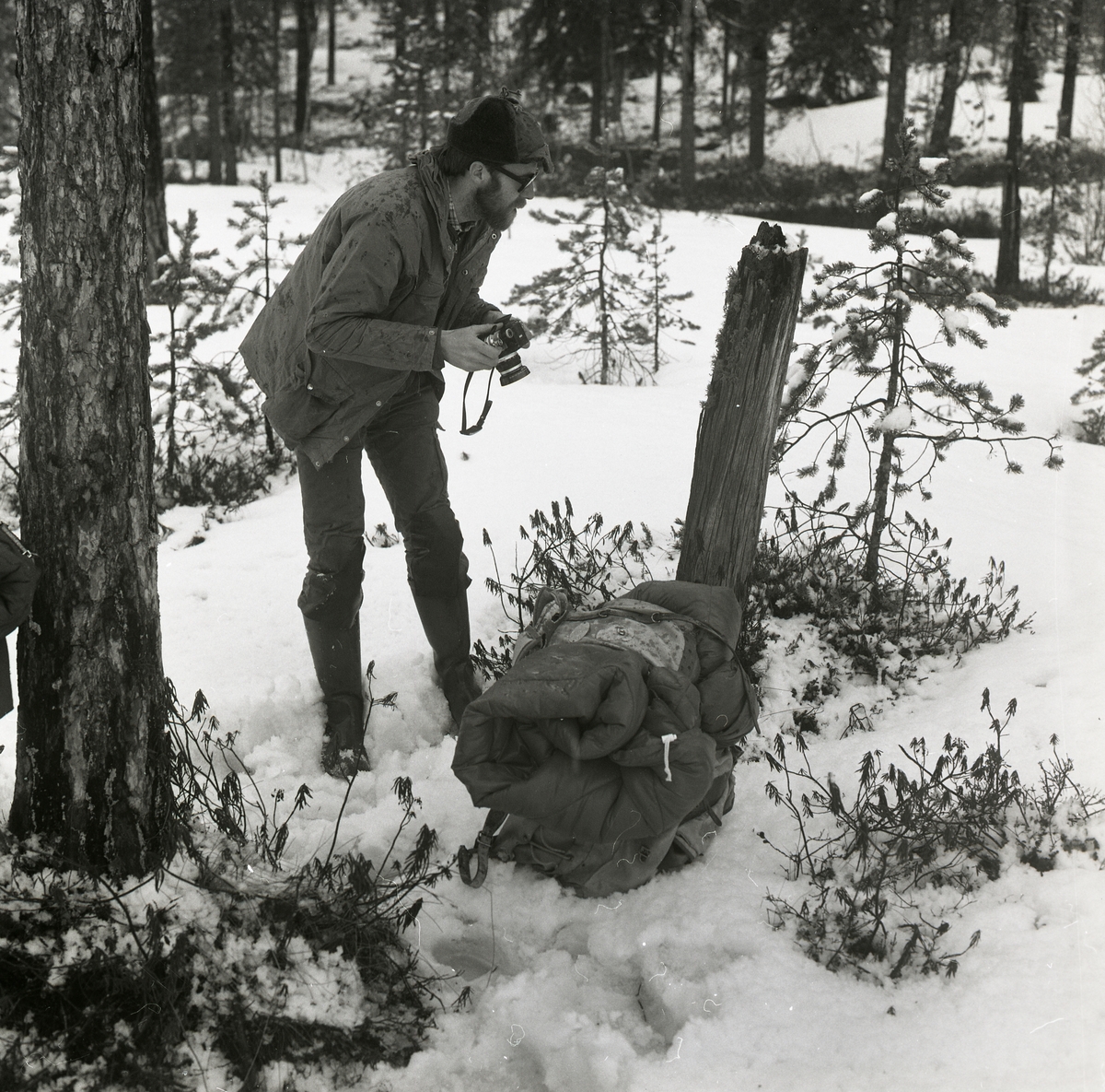 En man försöker fotografera en tjäder vid Häggtjärnen i Rengsjö 1980.