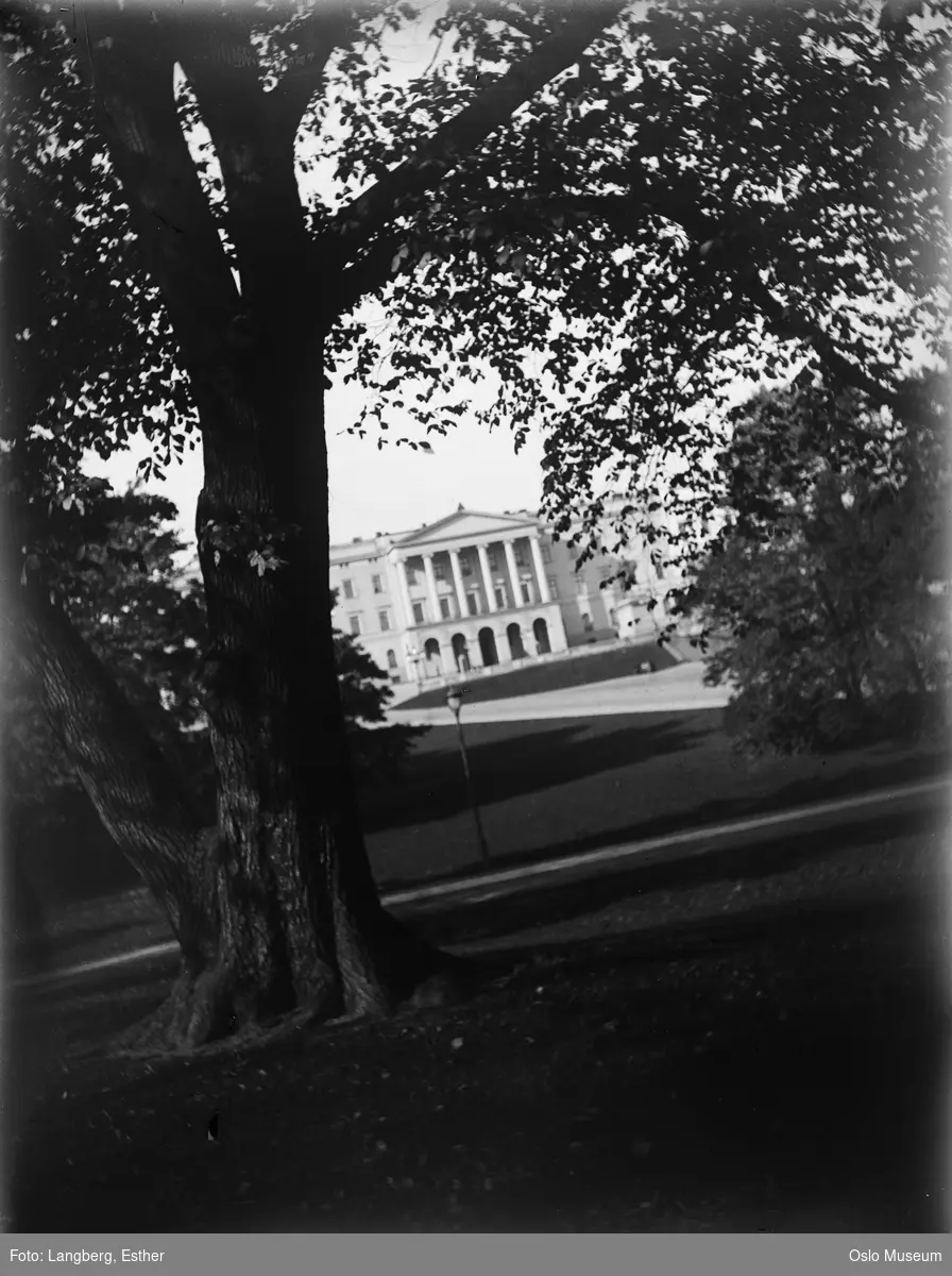 park, gangvei, lykt, plass, Slottet