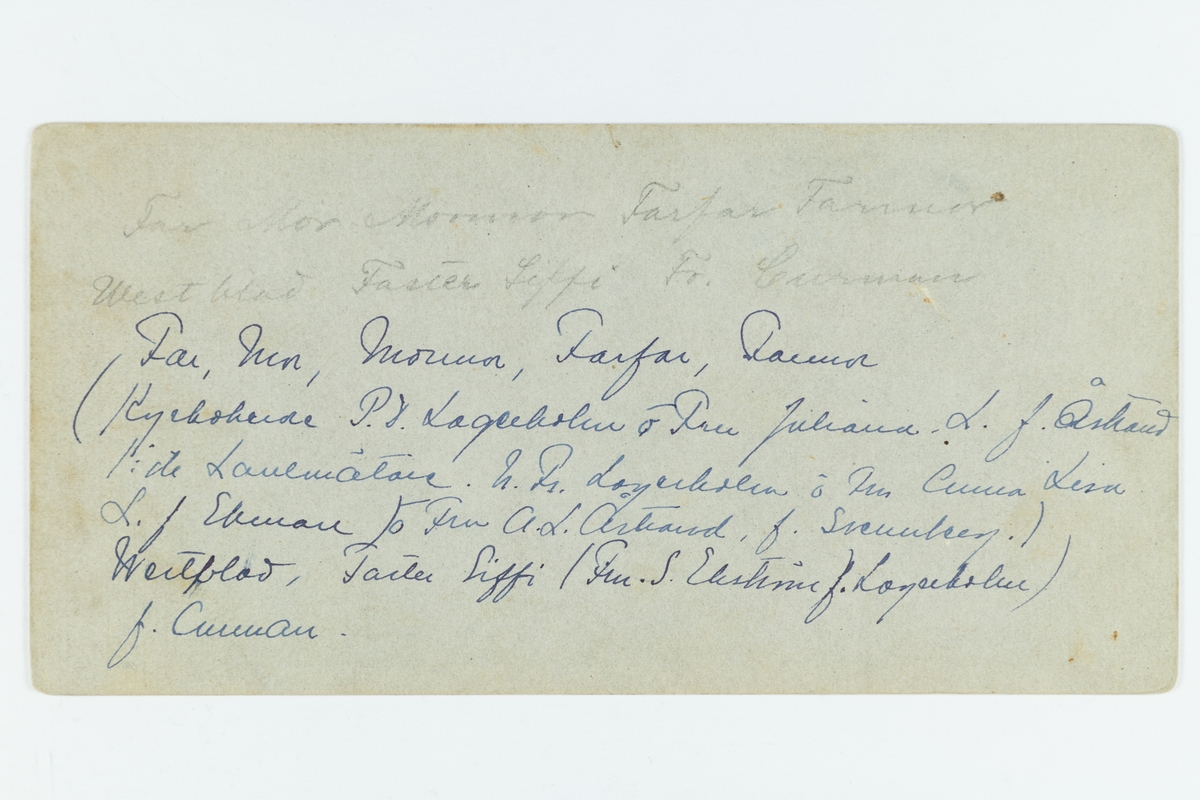 Kyrkoherde Per Didrik Lagerholm och hans hustru Juliana Lagerholm (född Åstrand), förste lanstmätare Nils Fredrik Lagerholm och hans hustru Anna Lisa (Anna Elisabeth) Lagerholm, fru A. L. Åstrand (född Svennberg), Westblad, fru Sofia "Siffi" Ekström (född Lagerholm), fröken Curman.