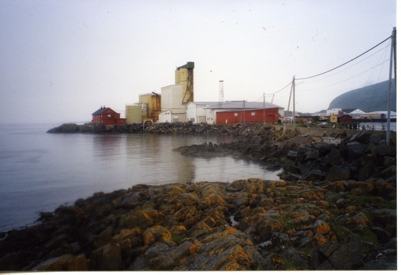 Neptun sildoljefabrikk sett mot vest.