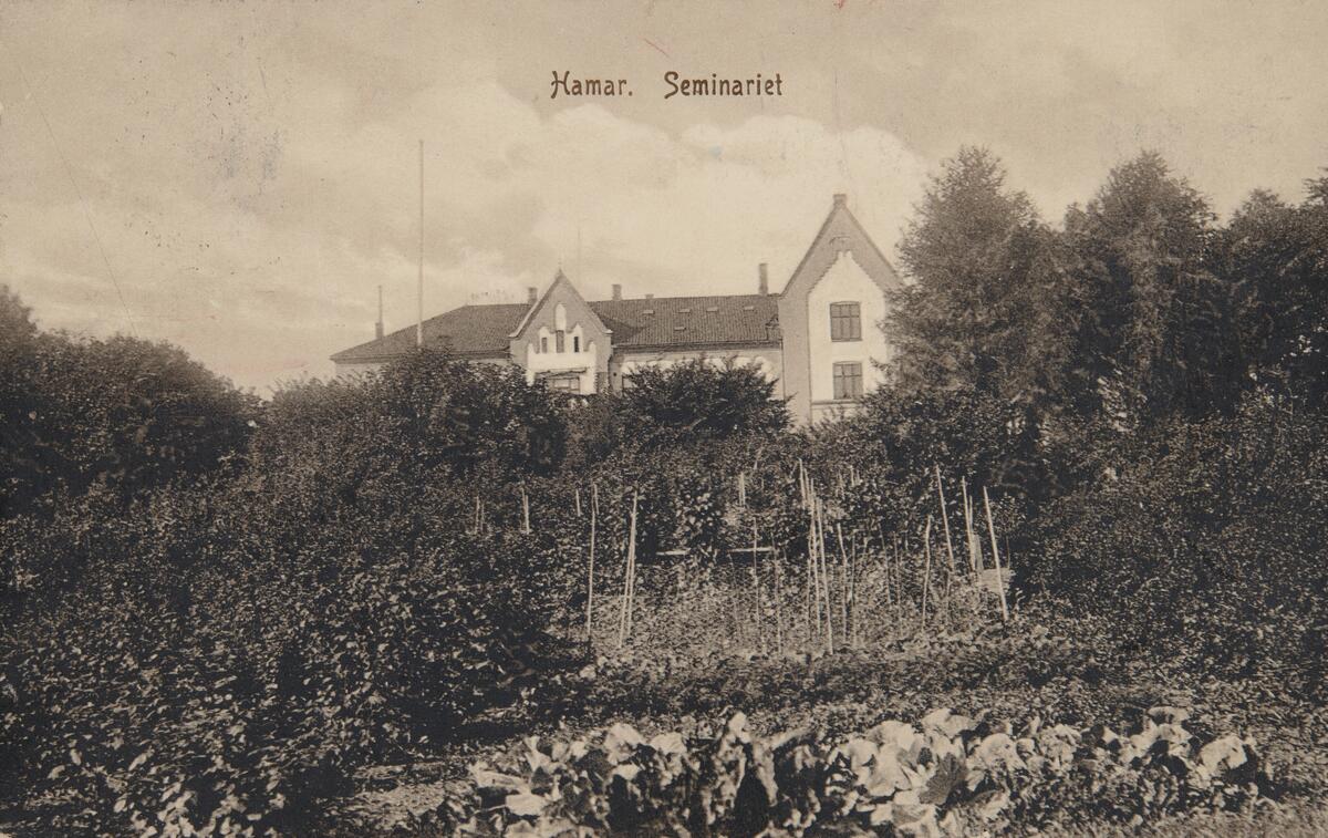 Postkort, Hamar lærerskole, Holsetgata 31, kjøkkenhage,