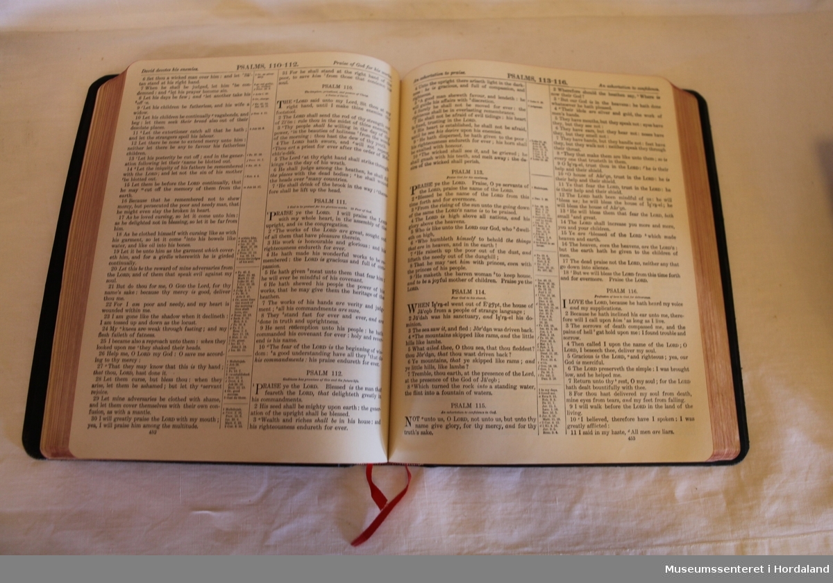 Stor, svart bibel med tittelen "Holy Bible" i gylne, dekorative bokstaver på forside og rygg.