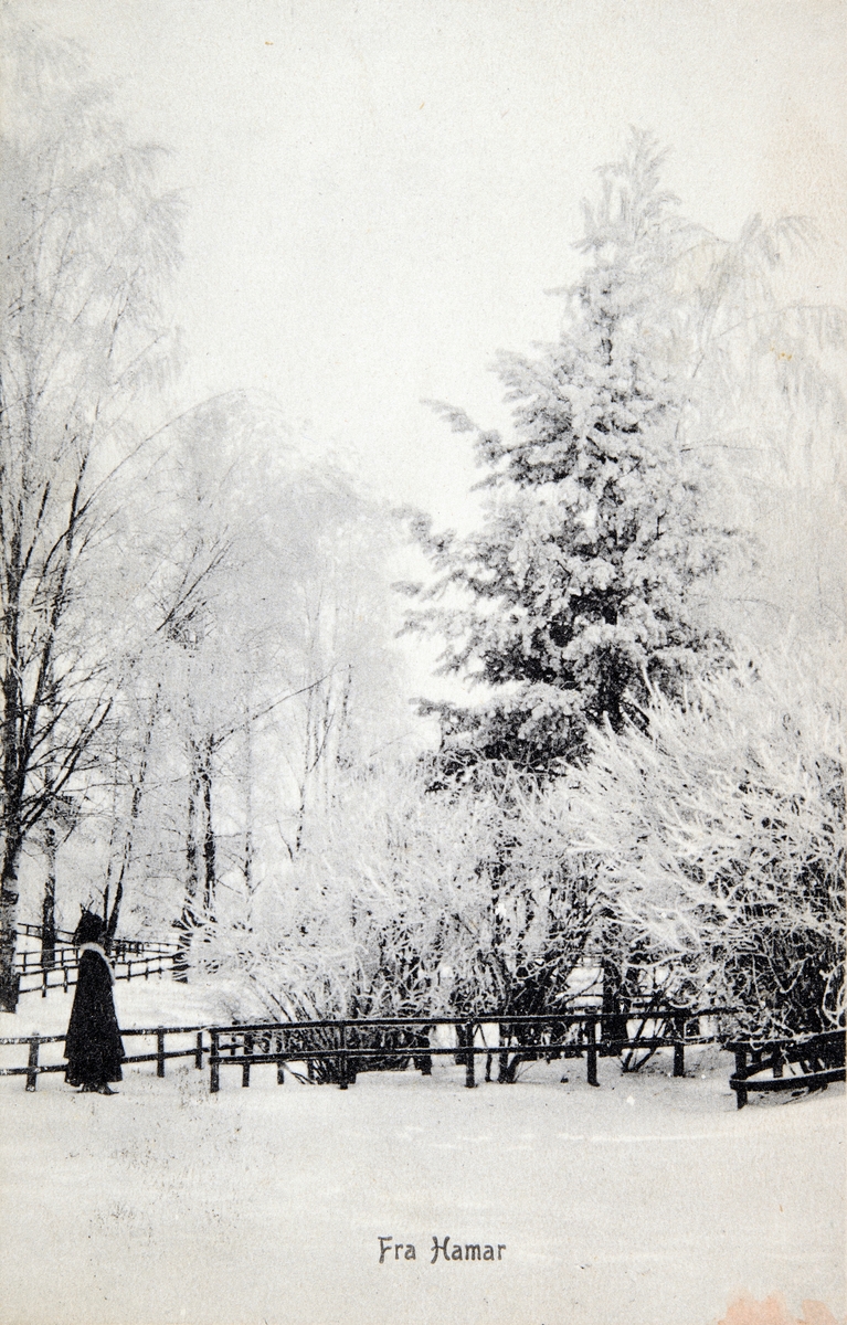 Postkort, Hamar Park i vinterstemning, rimfrost,