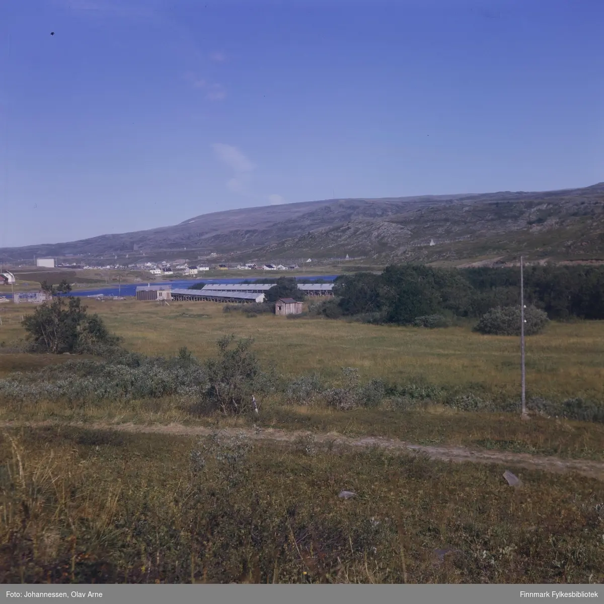 Foto er speilvendt

Foto av minkfarm/revefarm i Båtsfjord 

Trolig tatt på 1970-tallet