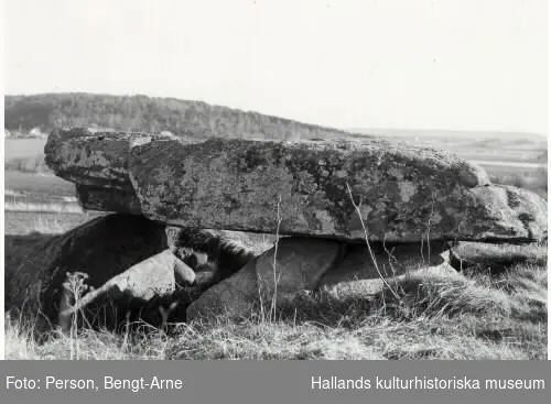 Dös, storstensgrav från yngre stenåldern (ca 3500 år f Kr) i Klastorp. På den ca 1,6 x 3 meter stora takhällen finns flera skålgropar. Omkring en kilometer därifrån finns även en långdös.
Fotografen var chef för Varbergs museum.