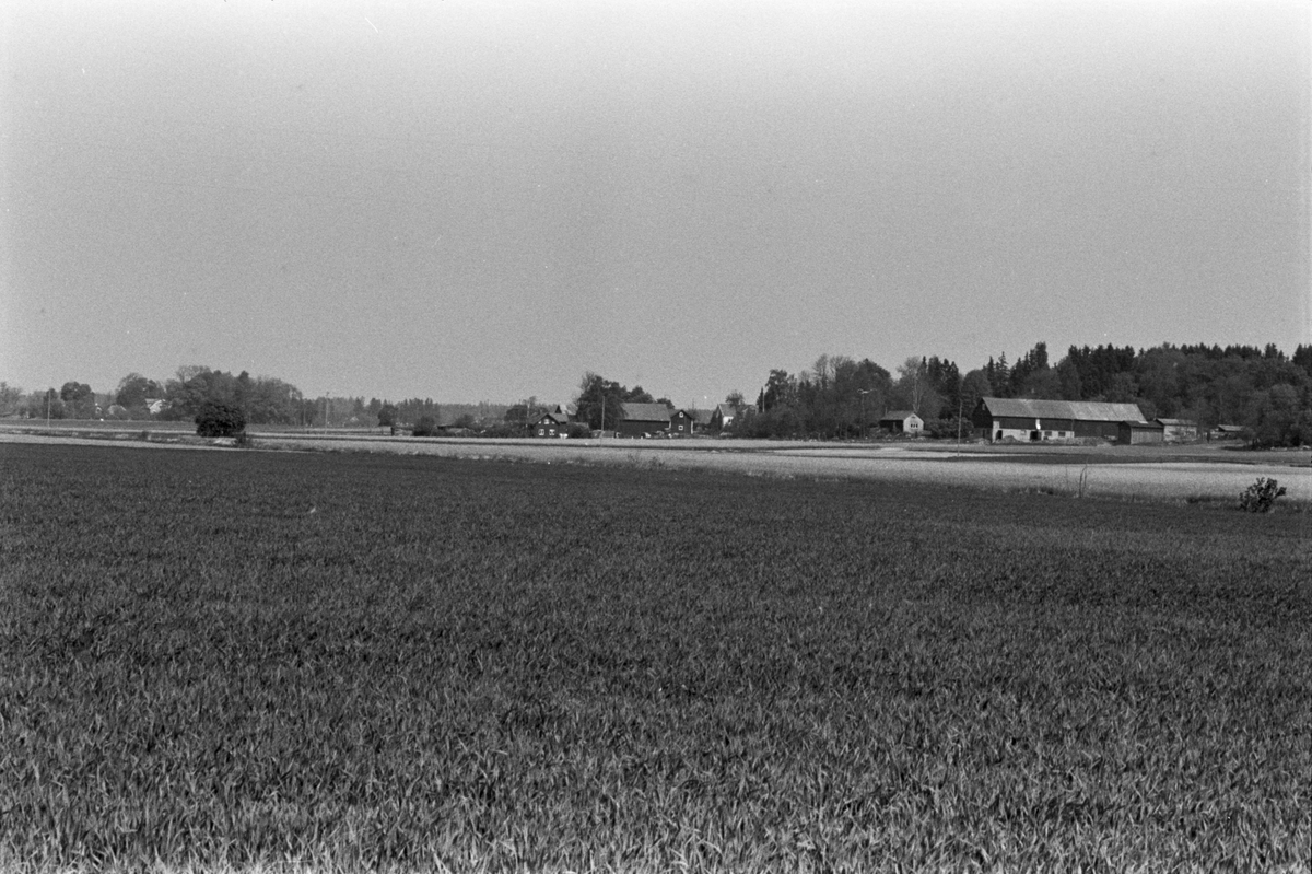 Vägen från Brunna mot Testeby, Vårfrukyrka socken, Uppland 1990