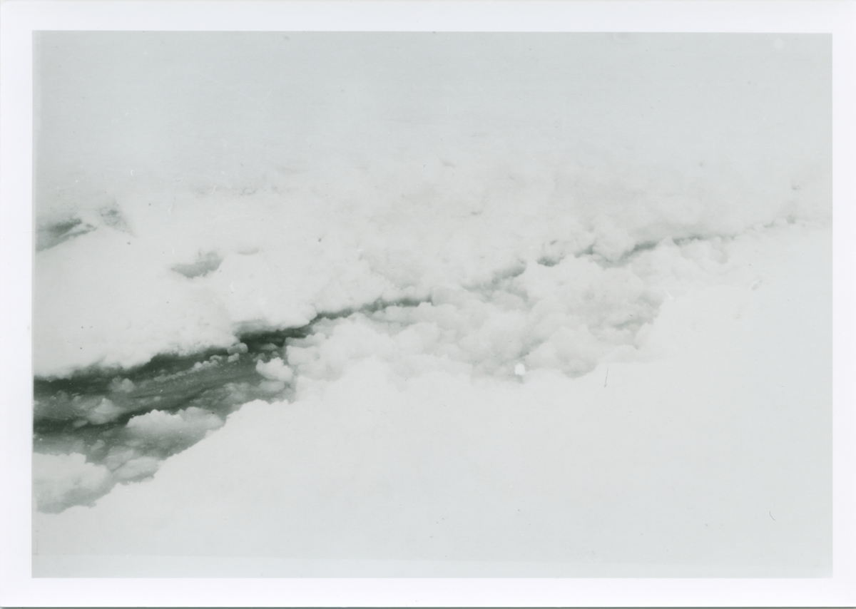 Amundsenekspedisjonen 1925. N24 i isen. Bilder fra album som tilhørte Johan Mattson. Fotograf er Amundsens medbragte fotograf, navn ukjent.