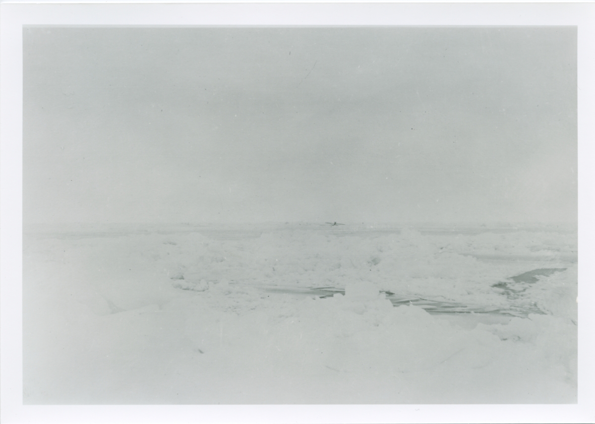Amundsenekspedisjonen 1925. N25 i isen. Bilder fra album som tilhørte Johan Mattson. Fotograf er Amundsens medbragte fotograf, navn ukjent.