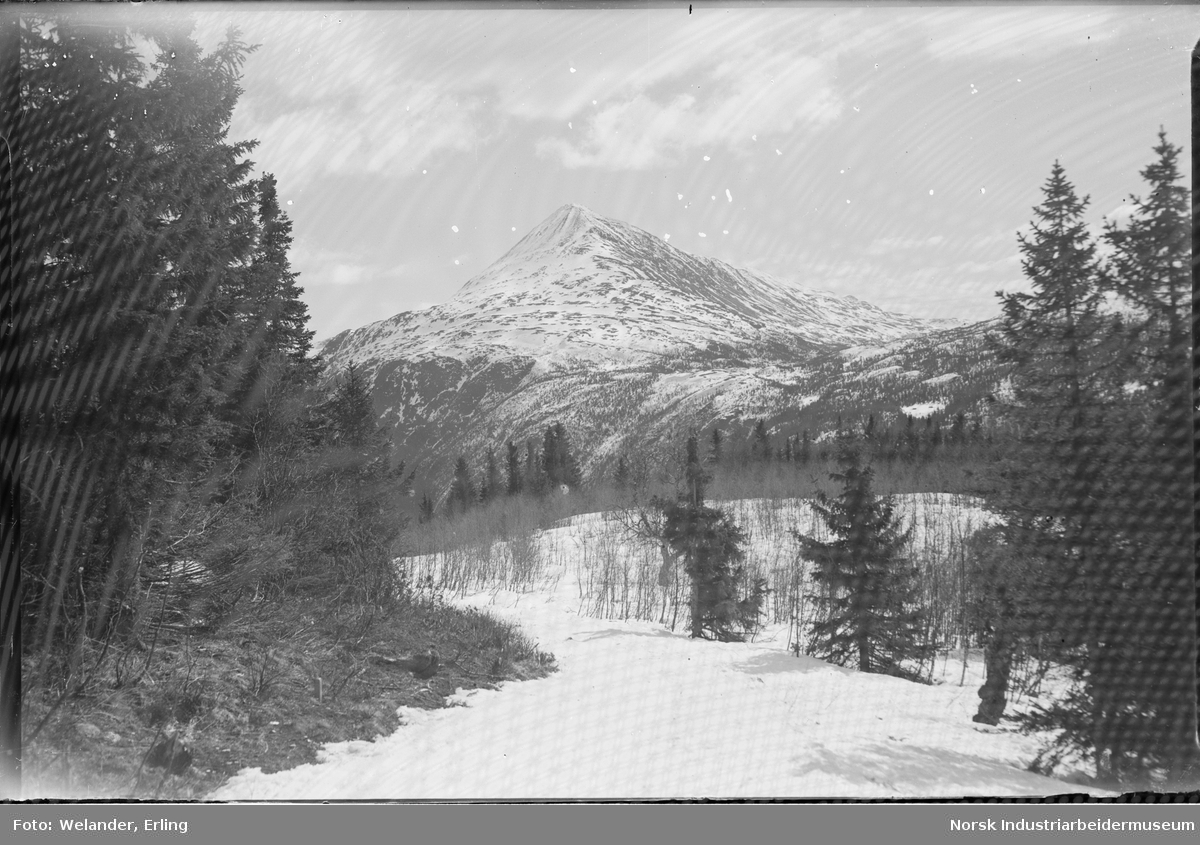 Snødekket fjellandskap med utsikt mot Gaustatoppen.