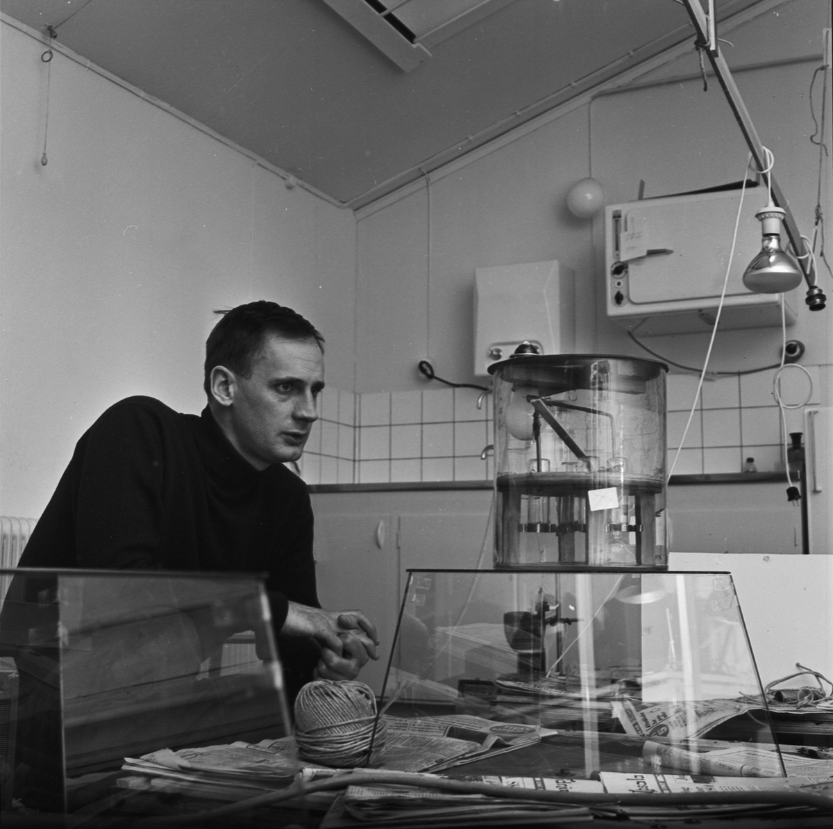 Forskning kring gräshoppan, "miniatyrstepp" på Zoologiska institutionen, Uppsala 1966