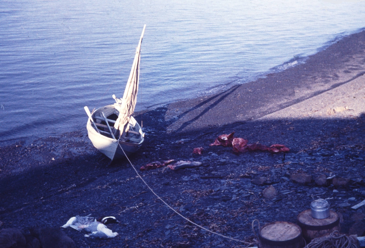 Fangstbåt i fjæra. Utrustning og selkjøtt satt på land.Fra Einar Sletbakk og Audun Paulsens overvintring.