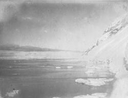 Isfjorden. Bilder etter Albert Edwin Nicholls, født i London