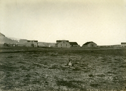 Bebyggelse i Ny-Ålesund ca.1917. En hund i forgrunnen.  Bild