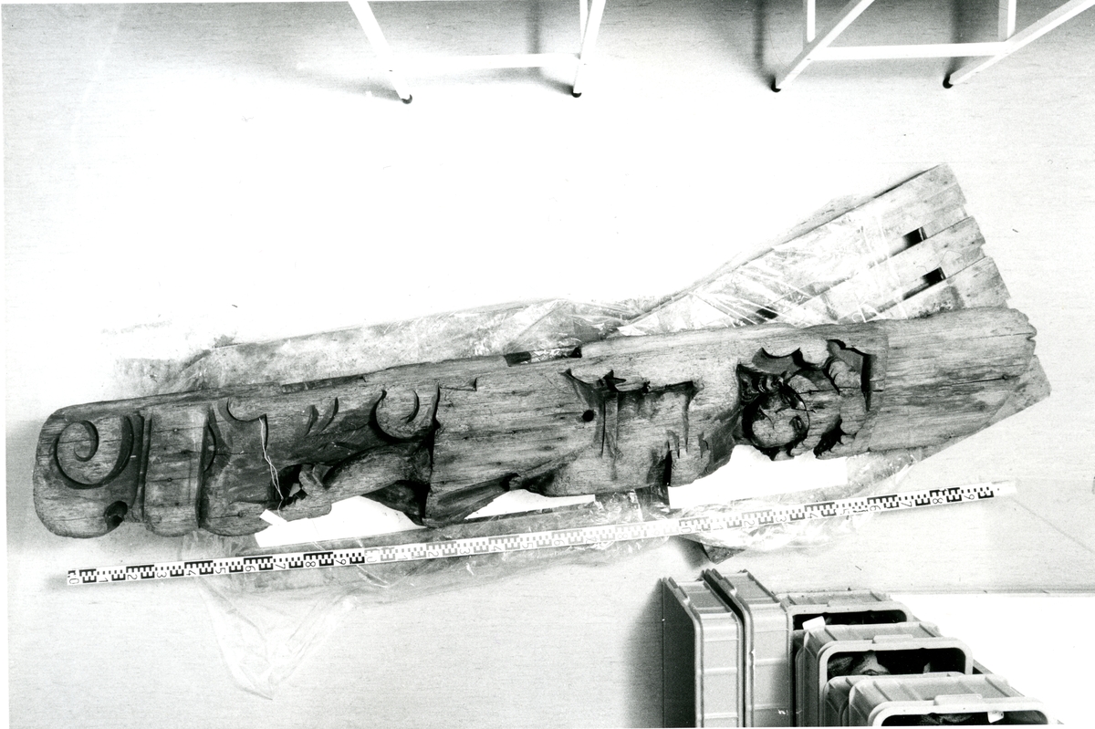 Bilder fra Aleksandr Glumovs funn av atlant i Woodfjorden 1989. Nr. i gjenstandssamling: SVB 4994